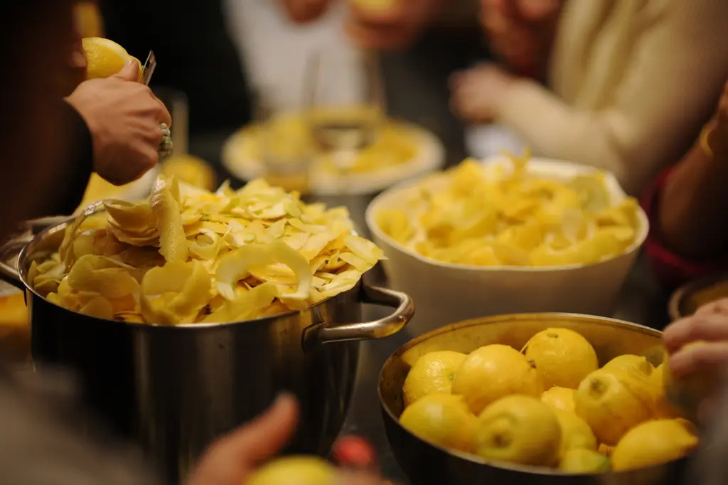 Fresh lemons being peeled by hand for Hellocello